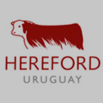 hereford