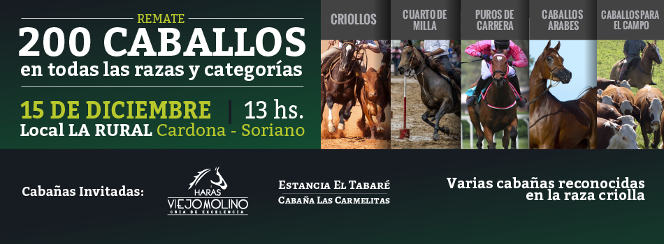placa2 remate 200 caballos